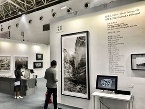 2018艺术北京全新升级,玩出艺术跨界