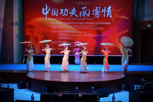 骄傲 佛山艺术团走出国门,展现岭南文化和中国功夫的魅力