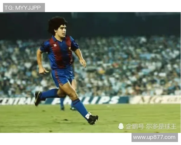 足球明星三明治的美味传奇与背后的故事揭秘